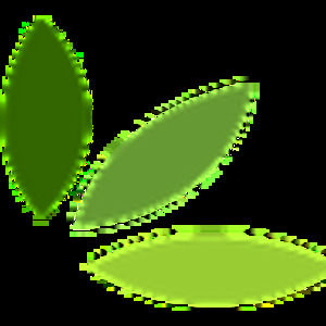 Meet your Posher, Caleb